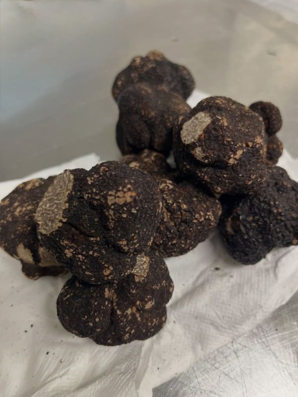 Truffes à déguster à Dieulefit au restaurant La Hotte
